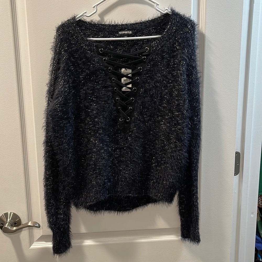 Express sweater (Brand New)